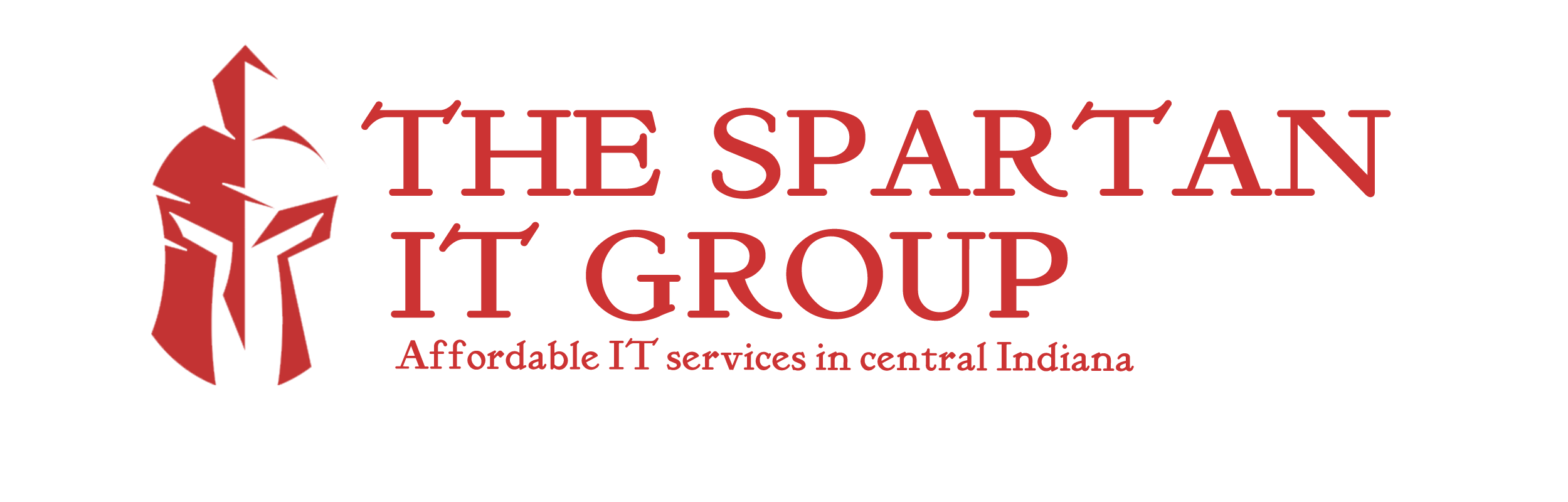 THE SPARTAN IT GROUP LLC